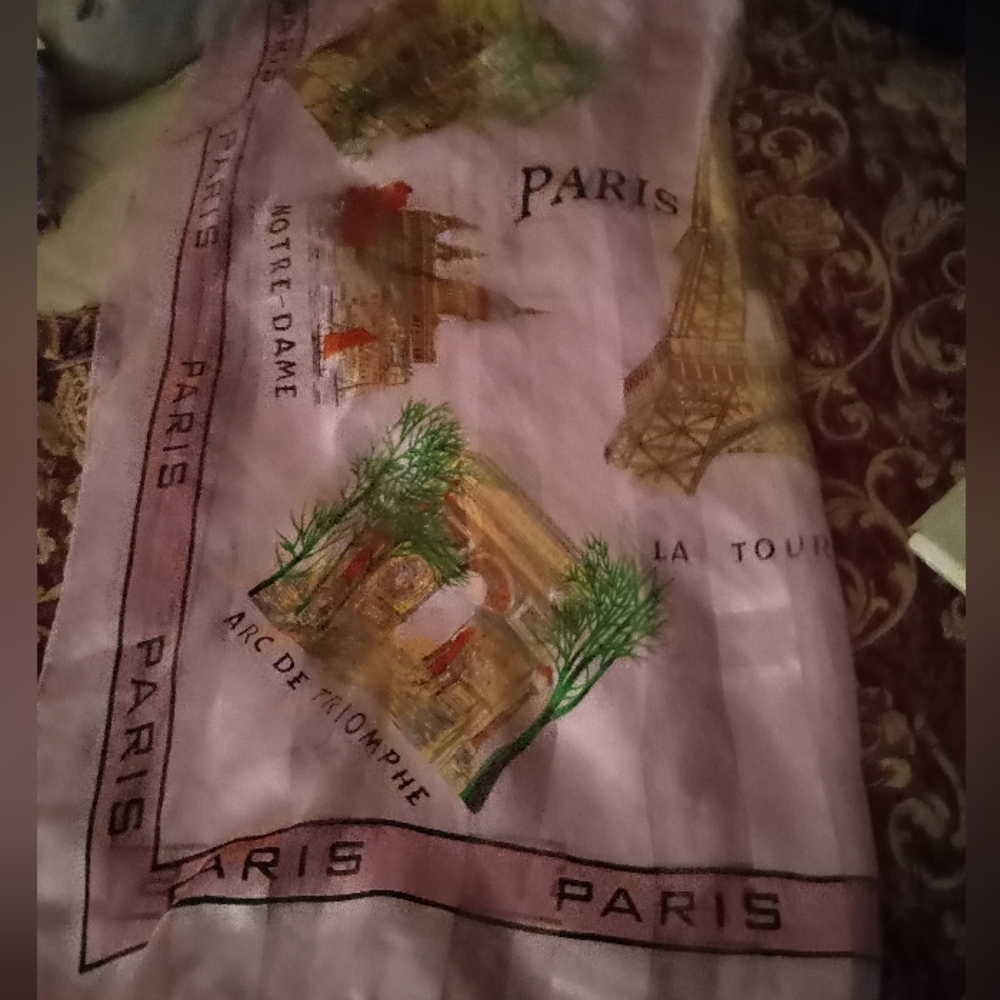 Paris Scarf Paris Graphics - image 1